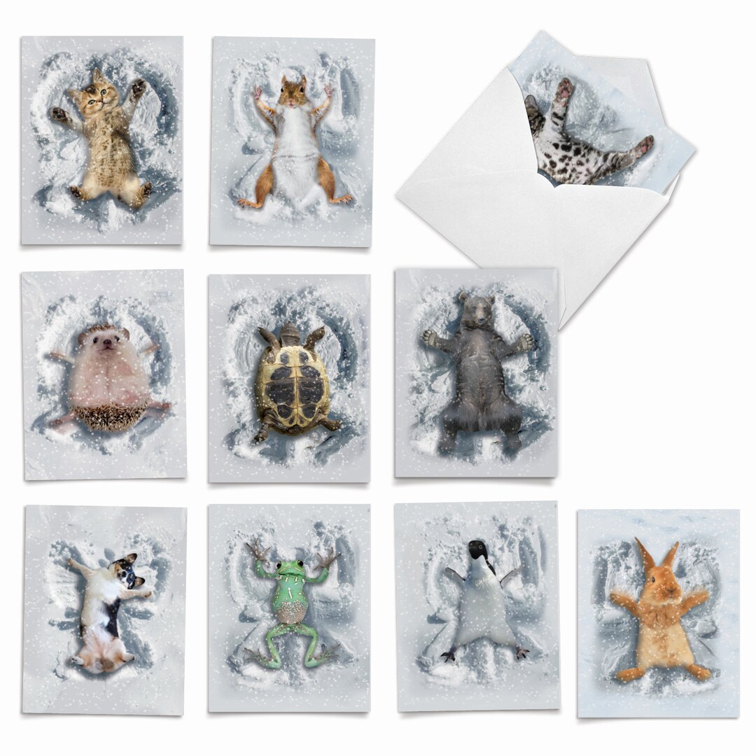 10 Assorted Blank Note Cards Packed Set 4 X 5.12 Inch W/ Envelopes (10 ...