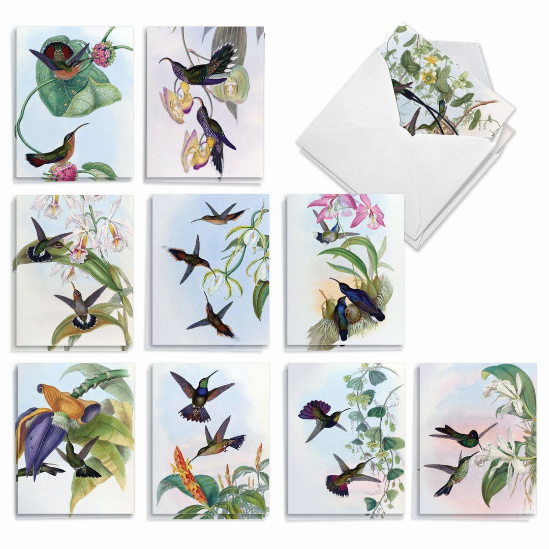 20 Assorted Blank Notecards Bulk Set 4 X 5.12 Inch With Envelopes (10 ...