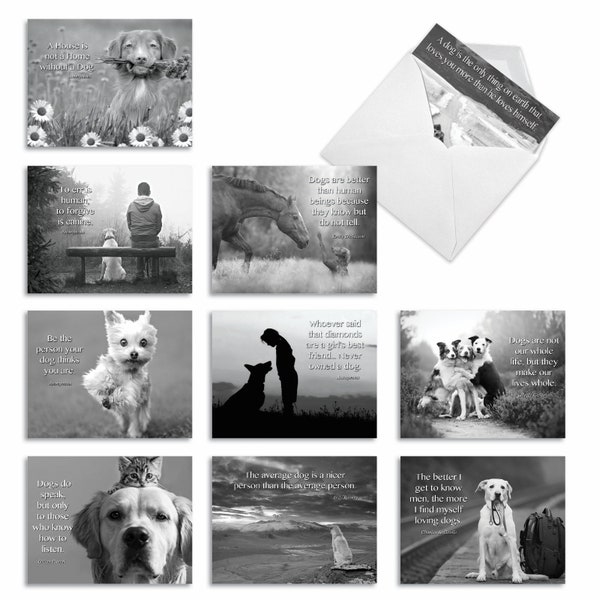 10 Assorted Blank Notecards  Set 4 x 5.12 Inch with Envelopes (10 Designs, 1 Each) CANINE COMMENTS: 10 Assorted Blank Note Cards.