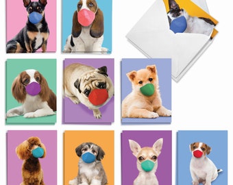 Paquete de 20 tarjetas de notas en blanco surtidas de 4 x 5,12 pulgadas con sobres (10 diseños, 2 cada uno) Perros enmascarados, para él y para ella