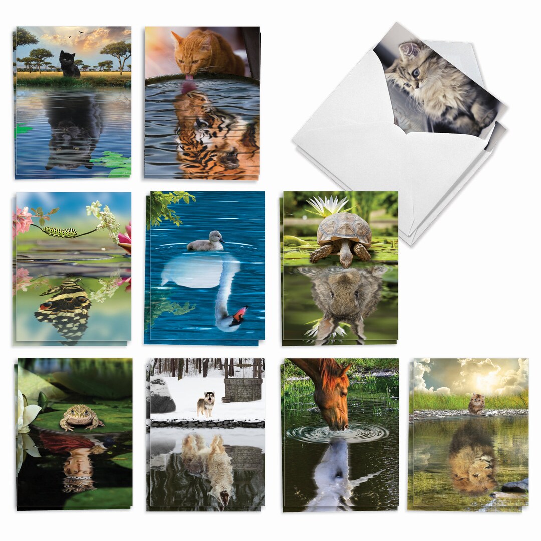 20 Assorted Blank Notecards Bulk Bulk Pack 4 X 5.12 Inch With Envelopes 10 Designs2 Each