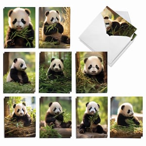 May include: A set of 10 greeting cards featuring adorable black and white panda bear cubs eating bamboo in various poses. The cards are blank inside for writing messages.