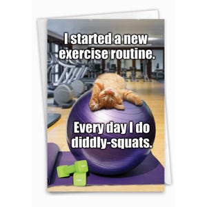 Hilarious Birthday Greeting Card with 5 x 7 Inch Envelope (1 Card)  BdayDiddly Squats