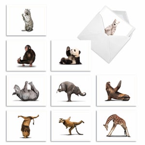 10 Assorted Funny Blank Notecards Bulk Set 4 x 5.12 Inch with Envelopes (10 Designs, 1 Each) ZOO YOGA: 10 Assorted Blank Note Cards.