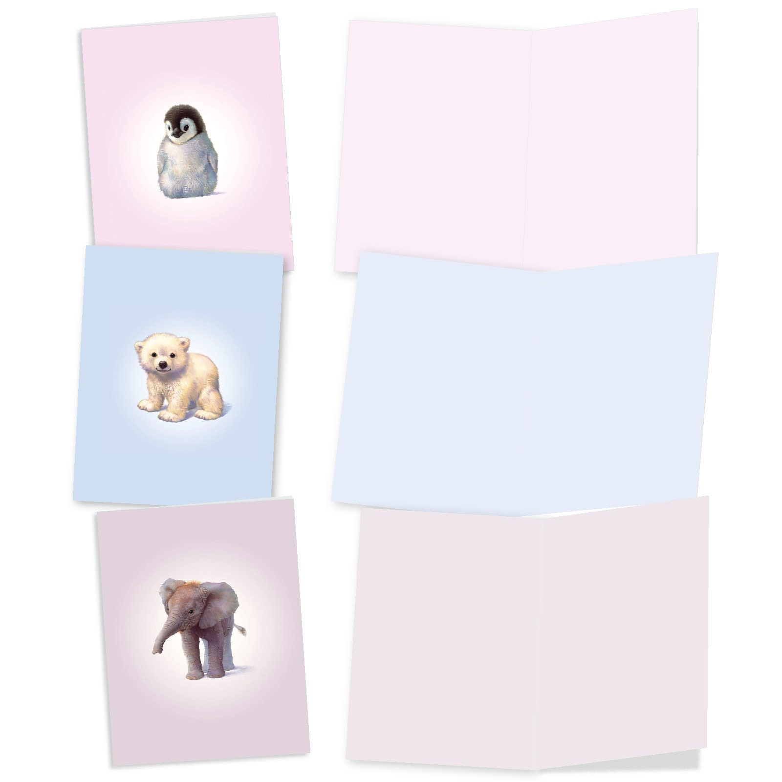 20 Assorted Blank Note Cards Bulk Bulk Pack 4 X 5.12 Inch With Etsy