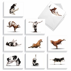 20 Assorted Blank Notecards Bulk Pack 4 x 5.12 Inch w/ Envelopes (10 Designs2 Each)  Bovine Nirvana, For Him For Her