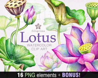 LOTUS watercolor Clip Art. Pink water lily flowers, tropical leaves, botanical illustration, floral nature design elements. Read how to use