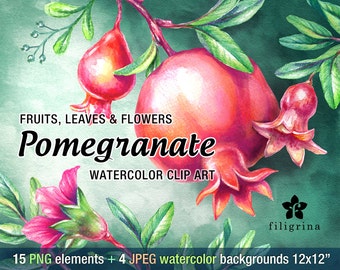 Pomegranate fruit & flowers WATERCOLOR Clip Art design. 15 PNG floral elements, 4 background 12x12 digital scrapbook paper. Read about usage