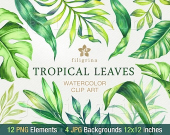 Tropical Leaves WATERCOLOR Clip Art. Fresh foliage, jungle nature, exotic garden, palm monstera. 12 elements 4 backgrounds. Read about usage