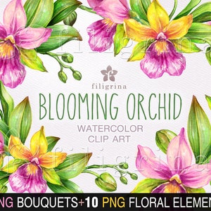 jungle nature Tropical WATERCOLOR clip art 20 PNG separate botanical elements exotic flowers paradise palm leaves Read how to use