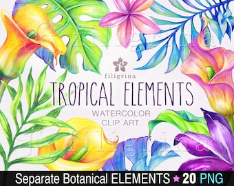 Tropical WATERCOLOR clip art. 20 PNG separate botanical elements, exotic flowers, palm leaves, paradise, jungle nature. Read how to use