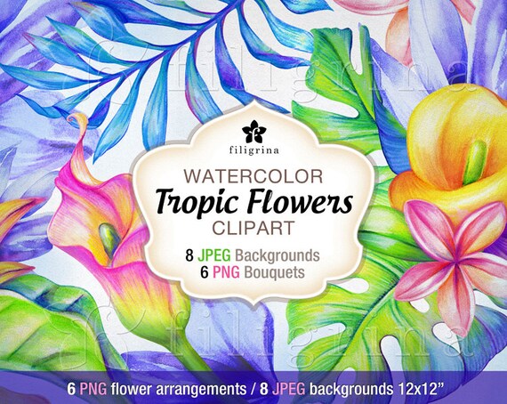 Tropic Fleurs Aquarelle Clipart Dessins 6 Png Bouquets De Fleurs 8 Jpg Fonds 12 X 12 Scrapbook Digital Paper Textures Lire à Propos De