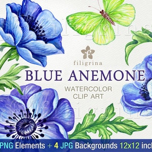 Blue Anemone WATERCOLOR clip art. 20 PNG floral elements 4 digital paper backgrounds. Elegant garden flowers, green leaves. Read about usage