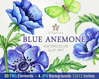 Blue Anemone WATERCOLOR clip art. 20 PNG floral elements 4 digital paper backgrounds. Elegant garden flowers, green leaves. Read about usage