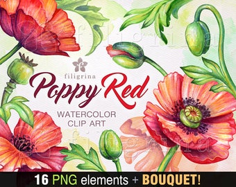 POPPY watercolor Clip Art. Wild rustic red flowers, green leaves, nature decor, design elements, floral painting, bouquet. Read about usage