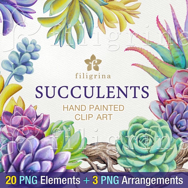 Succulents WATERCOLOR clip art. 20 Floral PNG elements, 1 paper texture background, 3 ready to use digital arrangements. Read about usage