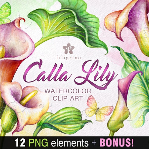 CALLA lily watercolor Clip Art. Pink lilies flowers, tropical leaves, botanical illustration, floral nature design elements. Read how to use