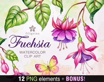 FUCHSIA watercolor Clip Art. Blooming pink flowers green leaves, botanical illustration nature elements, branch, butterfly. Read about usage