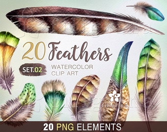 Feather WATERCOLOR Clip Art. Green brown feathers, wild, exotic, natural, tribal, boho, rustic. Easter decor. 20 elements. Read about usage