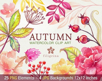 Autumn WATERCOLOR Clip Art. Fall nature garden foliage, leaves, flowers, berries, peony. 25 elements, 4 pastel backgrounds. Read about usage