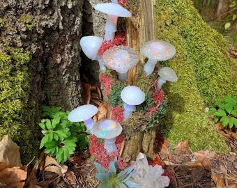 Pilzlampe, Mushroomlamp, transparent mit buntem Licht