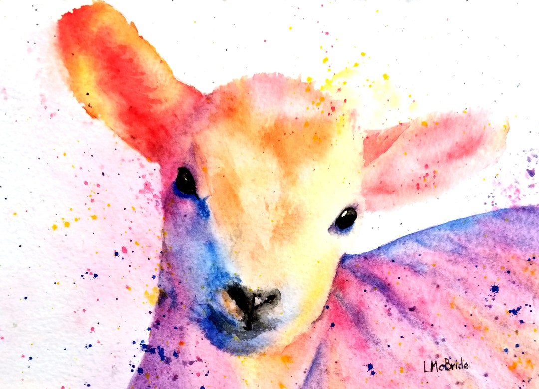 Colorful Baby Lamb Blank Art Cards 31/2 X 5 or 5 X 7 Card Sets W
