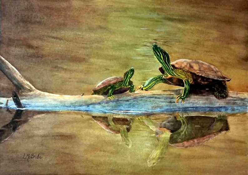 Sunning Turtles art cards 3-1/2 x 5 or 5 x 7 blank card sets w/envelopes from my original art image 1