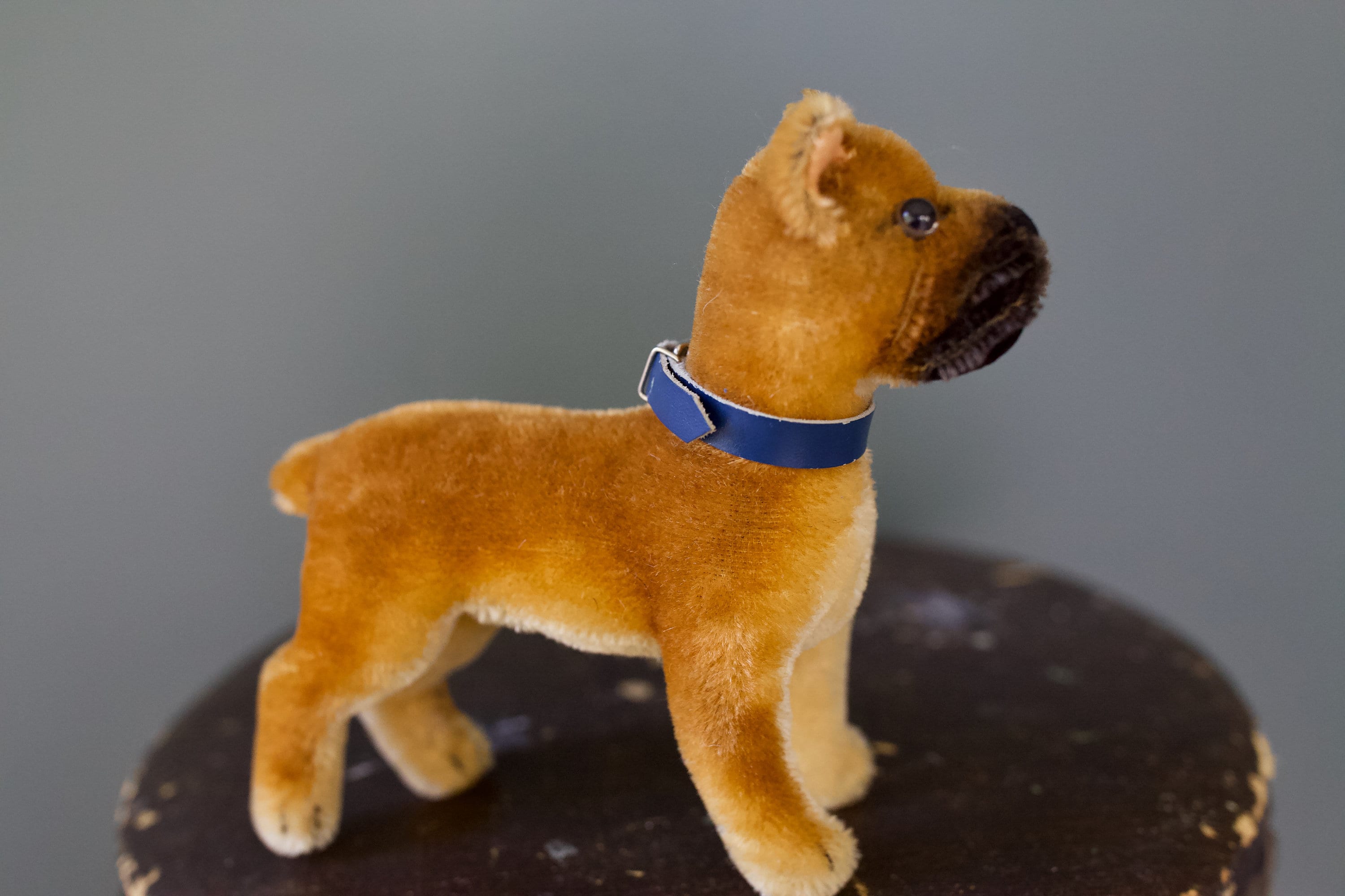 WoodbellmuSteiffシュタイフテディベア コッカプーのリッキー ドッグ