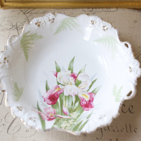 Antique Bavaria Iris Bowl- Porcelain Bowl Floral-Antique, Rosenthal, R.C. Bavaria, Irises