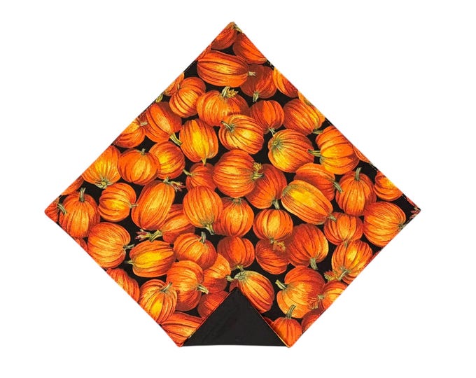 Autumn Pumpkin Pocket Square: Reversible Cotton Handkerchief, Handcrafted in USA