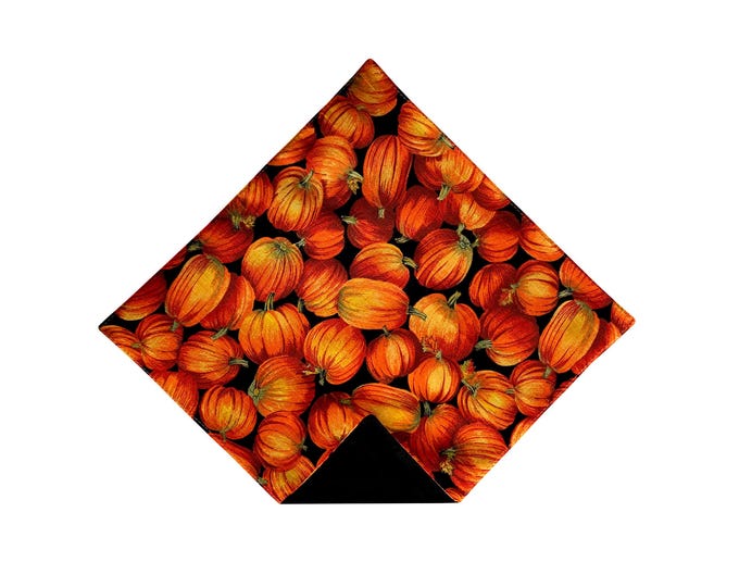 Autumn Pocket Square - Fall Harvest Pumpkins - Reversible Men’s Accessory - Halloween Pocket Square - Handcrafted in USA