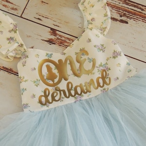 Baby Blue Girls One derland Birthday Dress First Birthday Baby Blue Tutu Dress Alice in Wonderland First Birthday