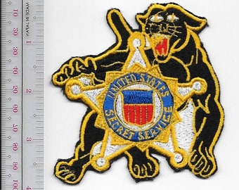 Secret Service Counter (usss) Assault Team (cat ) Agent