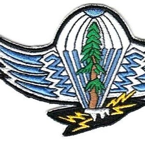 Smokejumper Wings Hot Shot Wildland Fire Crew USFS US Forest Service Patch