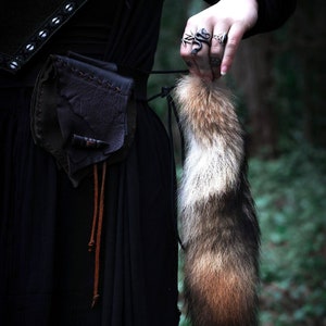 Genuine Coyote Tail, Cruelty Free for garb and ritual