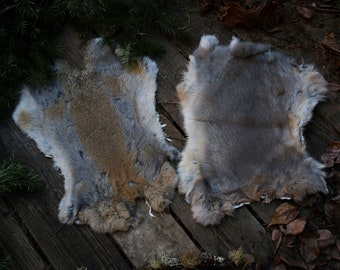 Real Rabbit Pelt, Natural Brown Gray White Fur, Ritual Divination