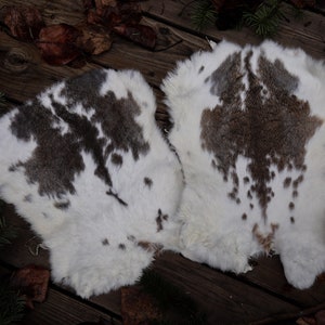 May include: Two rabbit fur pelts with a natural white and brown spotted pattern. The pelts are laid out on a weathered wooden surface, with evergreen sprigs and dried leaves scattered around.