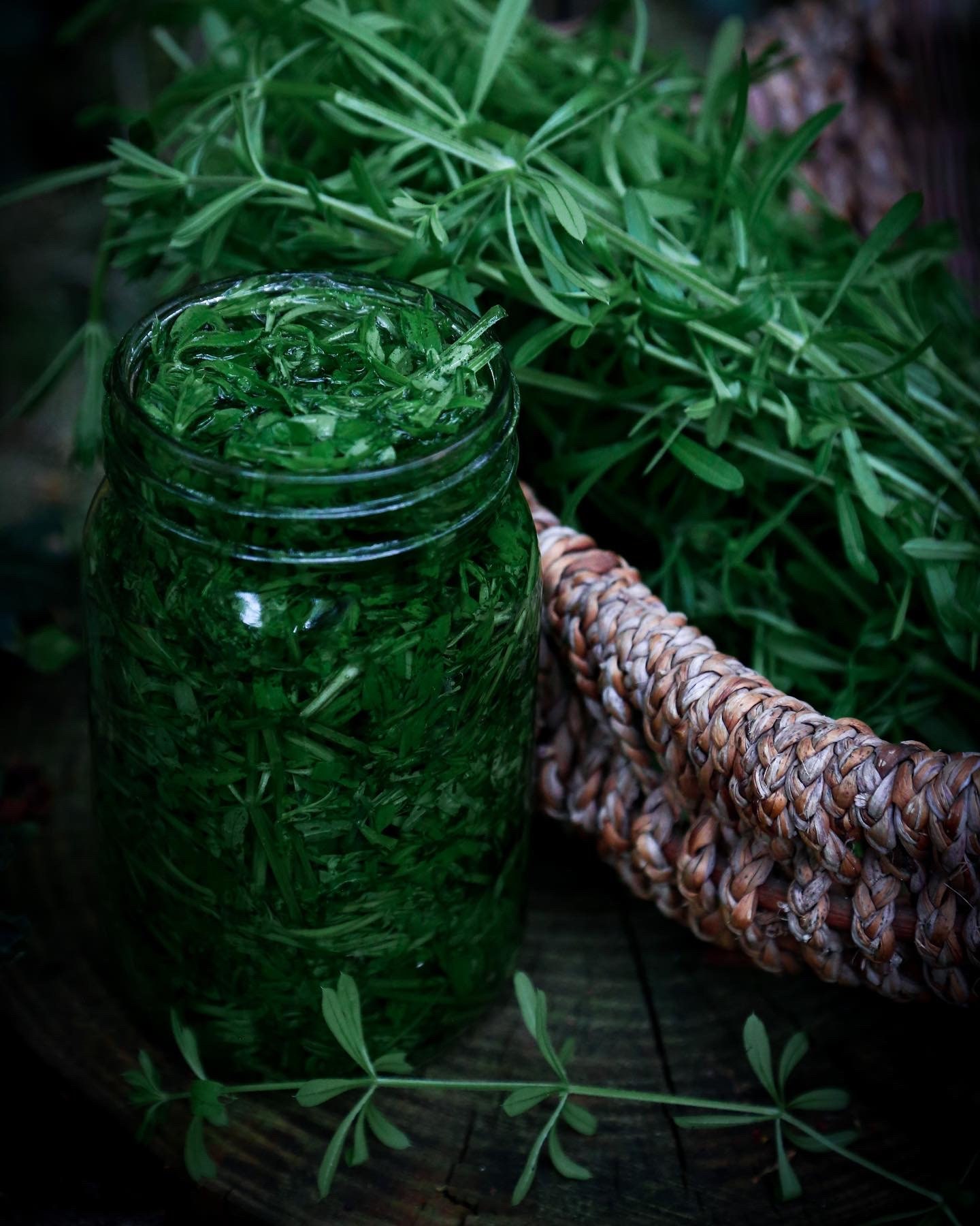 The Bitter North Herbal Digestive Bitters Tincture Etsy