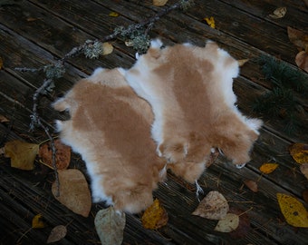 Beige and White Rabbit Pelt, Natural Fur Hide, Ritual Altar Supply