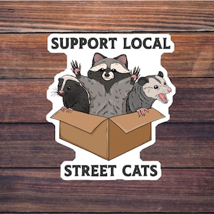 Support Local Street Cats Sticker, Raccoon Decal, Possum Sticker, Skunk Decal, Laptop Sticker, Tumbler Sticker, Water Bottle Decal