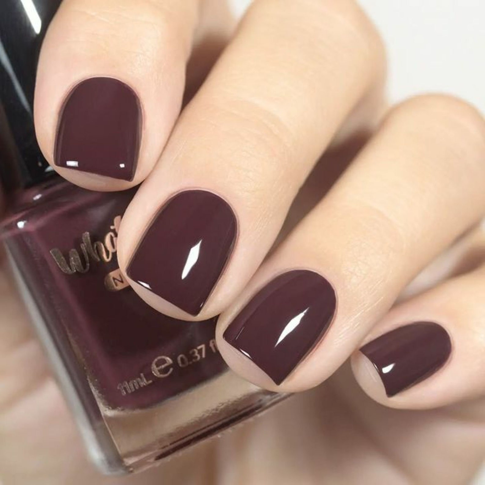 Tasting Trip Regular Polish Dark Burgundy Brown Creme Nail Etsy