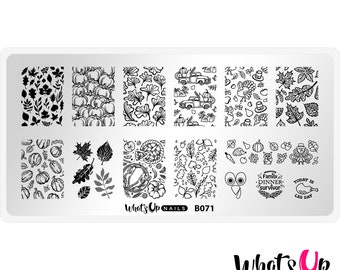 B071 The Whole Nine Gourds Stamping Plate For Fall Autumn Stamped Nail Art Design