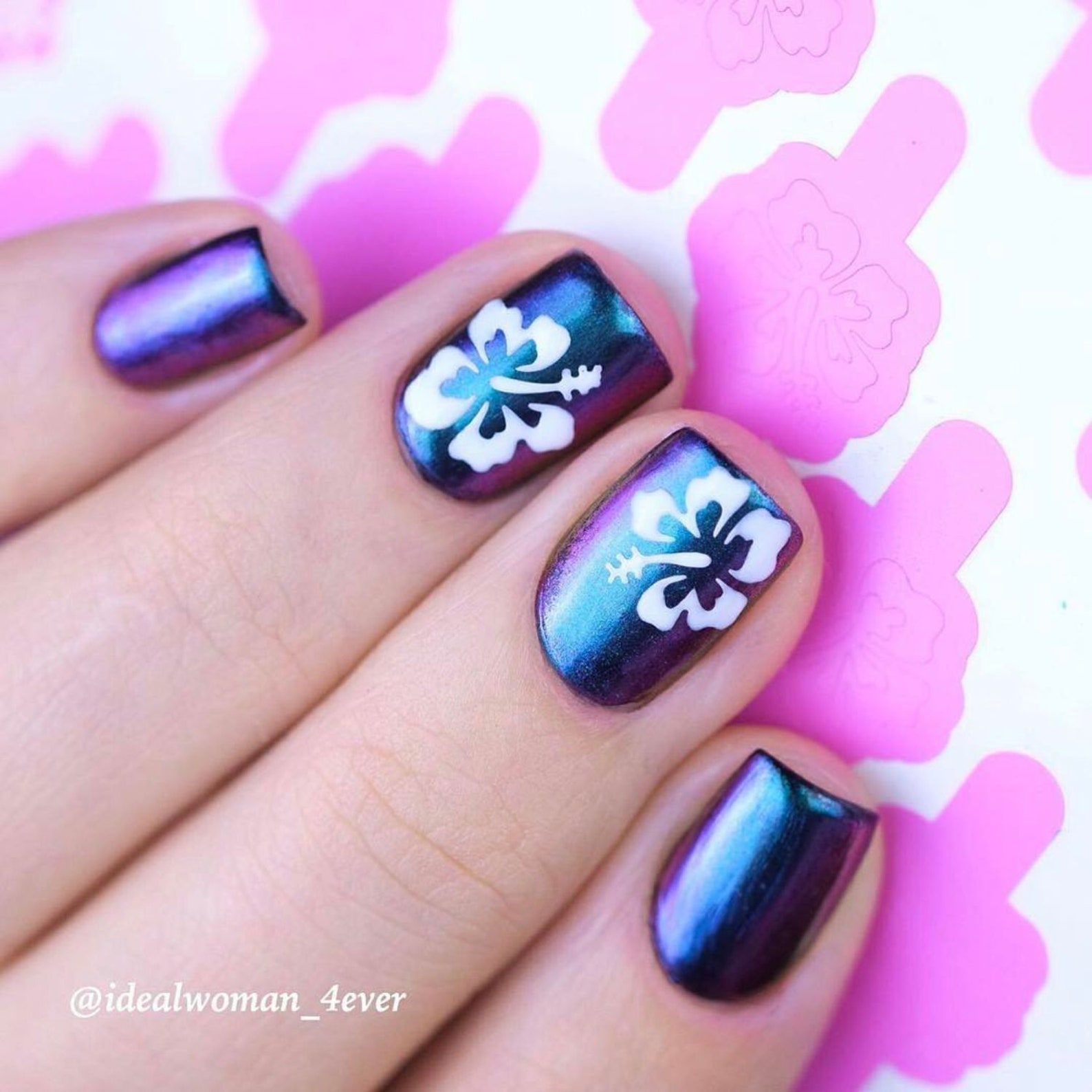 Hibiscus Stencils for Nail Art Nail Stencils Nail Art Nail Etsy