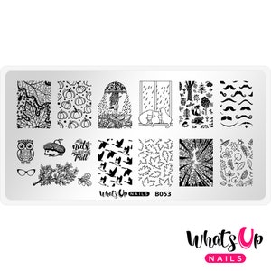 Op de afbeelding: Een rechthoekige nail art stempelplaat met diverse herfstthema ontwerpen in zwart en wit. Ontwerpen omvatten bladeren, pompoenen, katten, uilen en de tekst "Nuts about Fall". De plaat bevat ook de tekst "What's Up Nails" en "B053".