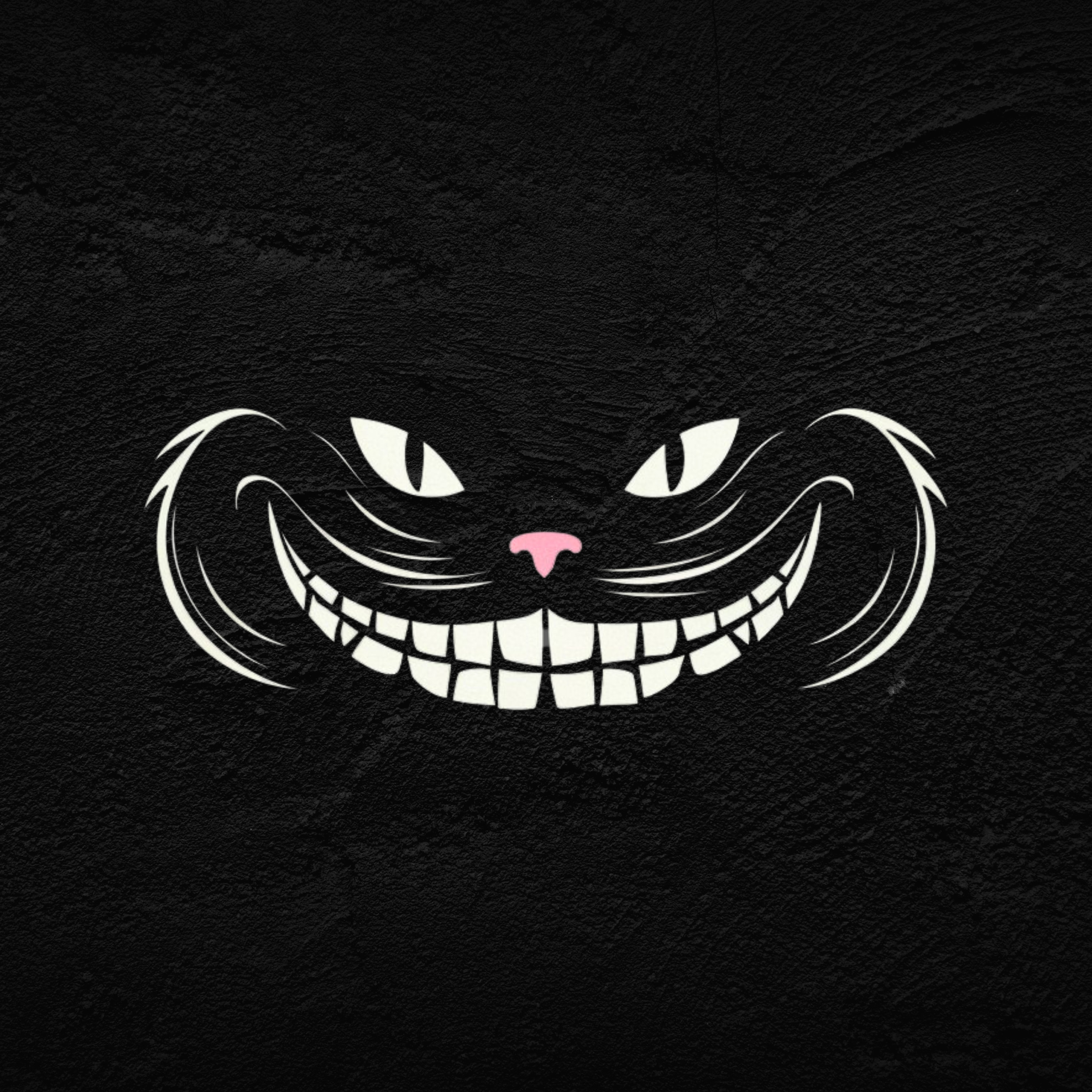 ACRO TOKYO][DimMoire] Evil Cat Hoodie