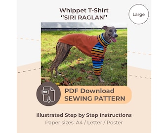 DOWNLOAD SEWING PATTERN / Whippet T-Shirt - Single Size Large / Paper sizes: A4 - Letter - Poster