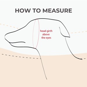 May include: Line drawing of a dog's head with a red dashed line showing how to measure head girth above the eyes. "HOW TO MEASURE" is written in black text at the top of the image.