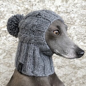 May include: A gray knitted dog hat with a pom pom on top. The hat is worn by a gray dog with a long snout.