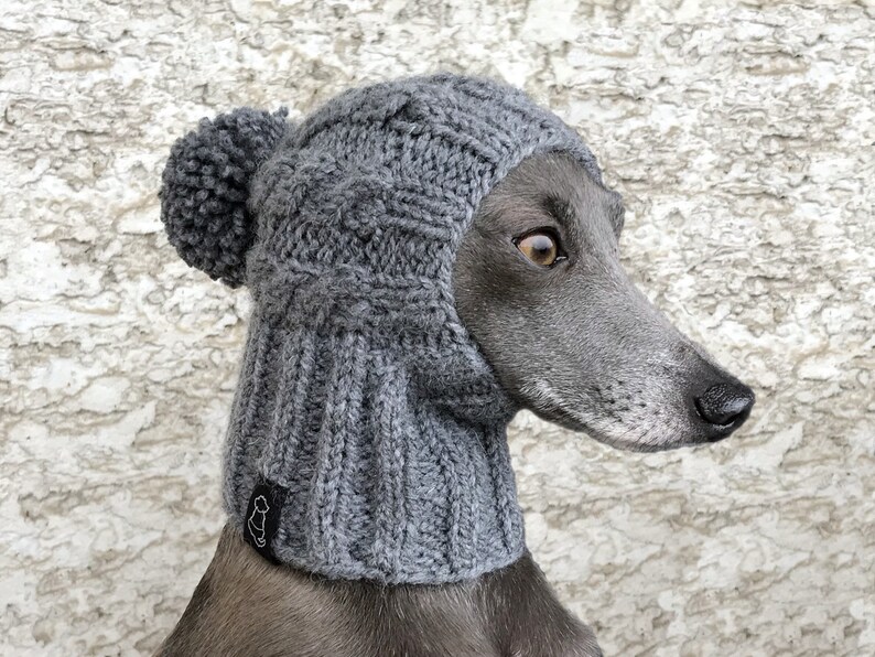 May include: A gray knitted dog hat with a pom pom on top. The hat is worn by a gray dog with a long snout.