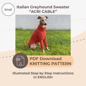 以下が含まれることがあります： 赤いケーブル編みのイタリアングレイハウンドセーターの編み図。パターンはPDFダウンロードで入手可能で、英語でイラスト付きのステップバイステップの説明が含まれています。